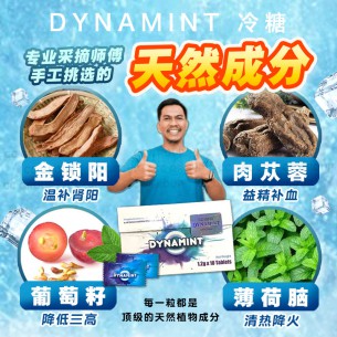 Dynamint 冷糖【10粒】
