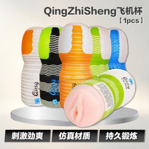QingZhiSheng飞机杯【1pcs】